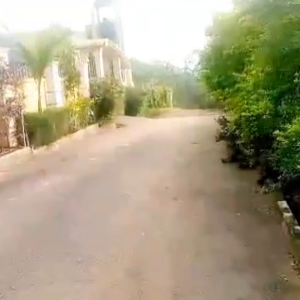 15 decimals kira Shemon tarmac to tarmac selling