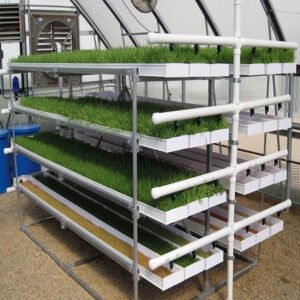 Hydroponic Fodder System Installation (Basic)