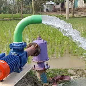 Water Pump Rental (Diesel/Gasoline, Per Day)